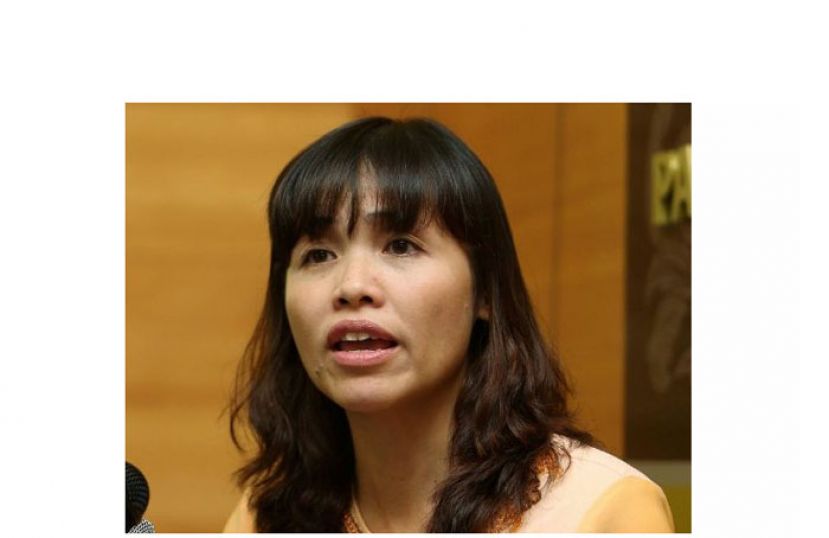 张念群。