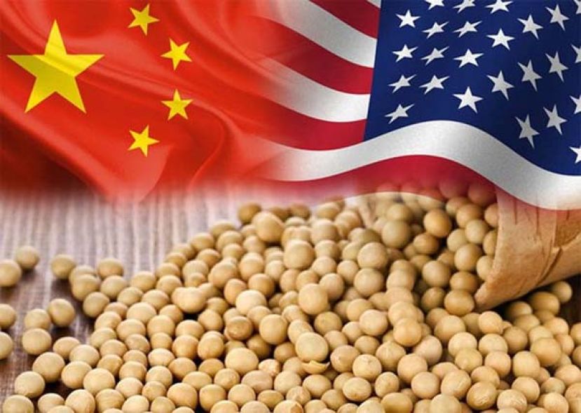 中国承诺恢复采购美国大豆。