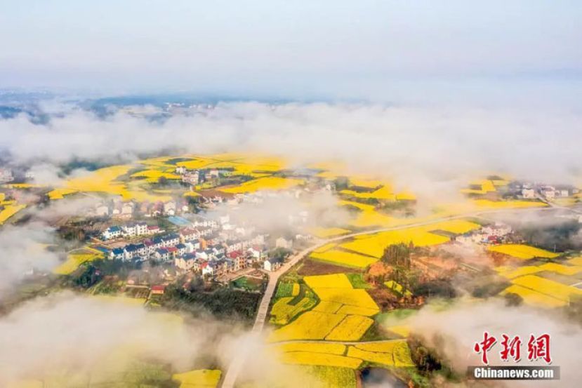 江西武宁春日田园美如画。