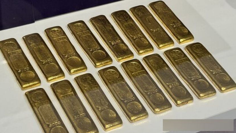金条示意图。