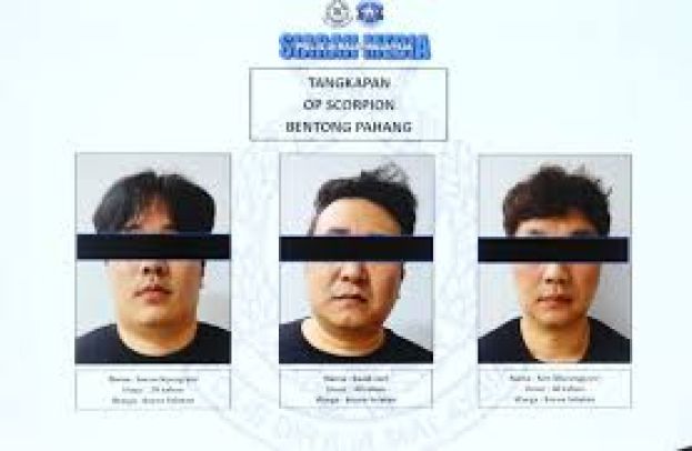 3韩男涉绑架同乡 因没翻译展延提控