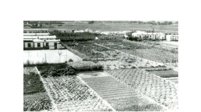 位于定县翟城村的中华平民教育促进会试验农场(1930年代)。