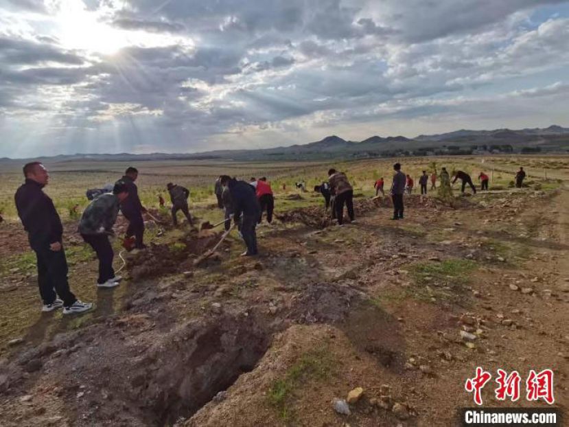 春天，陈国发带领村民一起在山上栽树。