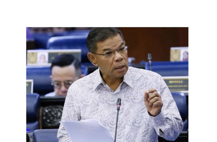 内政部长赛夫丁。