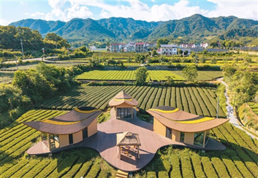 安徽省岳西县琥珀村，民宿与民居、茶园、青山等相映成景，构成一幅和美乡村的生态画卷。