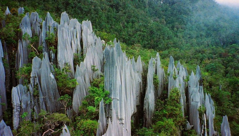 图示：姆鲁山是砂拉越第二大高峰，这里有经历150万年长期风化及雨水侵蚀而成的&ldquo;尖峰石林&rdquo;（The Pinnacles）天然景观。