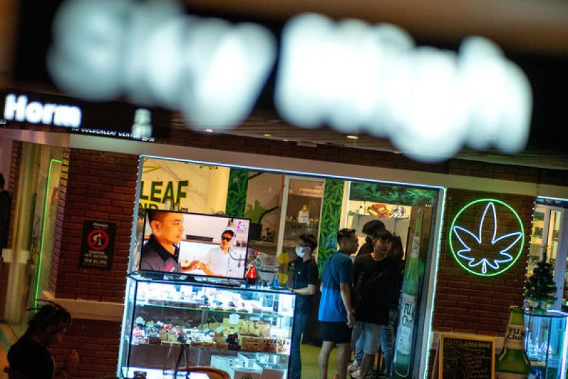 外国游客正在泰国曼谷一间大麻店选购。