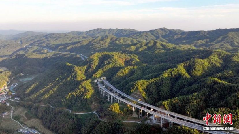 高速公路穿越竹海。