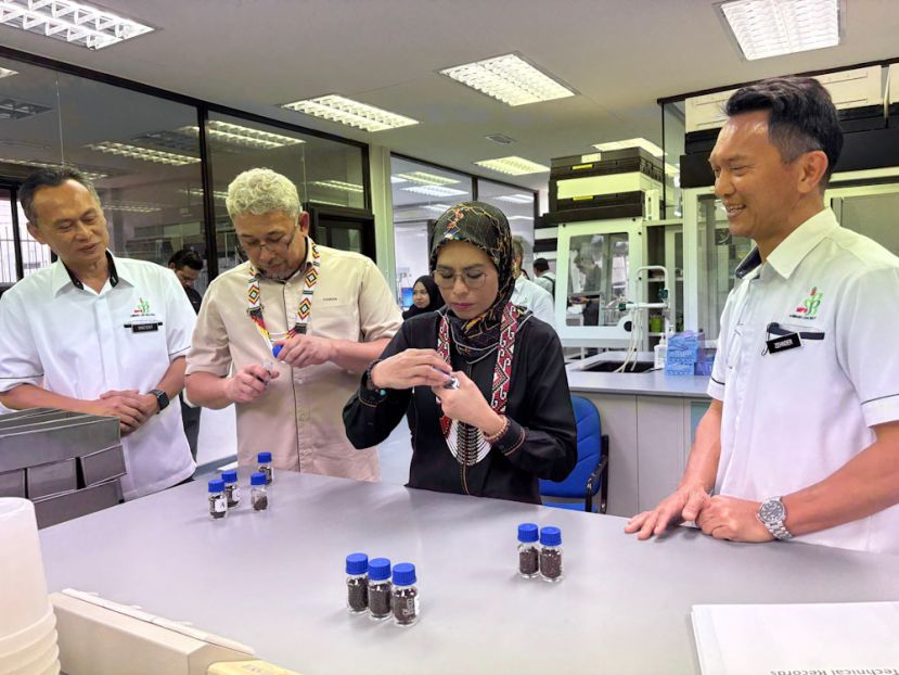 国家胡椒产业持续强化 聚焦提升生产力与拓展全球市场
