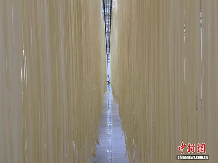 民乐县三堡镇手工挂面坊晾晒的挂面。