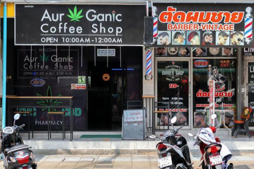 泰国公共卫生部长宋萨宣布，已正式签署命令，未来将全面限制大麻仅供医疗使用。