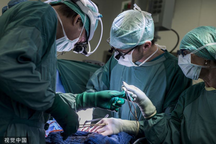 哈佛医学院针对AI与人类医师的急诊诊断率进行实验。
