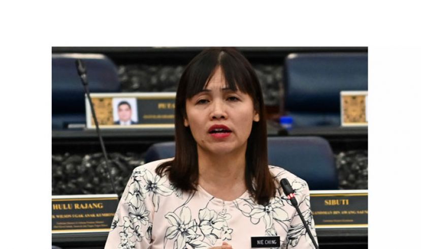 张念群。
